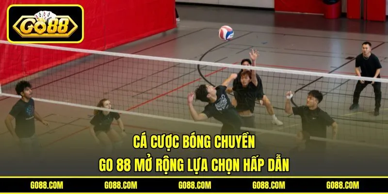 Cá Cược Bóng Chuyền – GO 88 Mở Rộng Lựa Chọn Hấp Dẫn