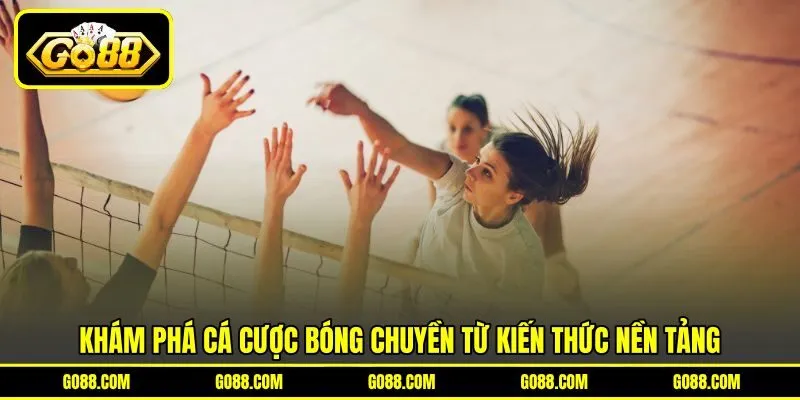Khám phá cá cược bóng chuyền từ kiến thức nền tảng Khám phá cá cược bóng chuyền từ kiến thức nền tảng