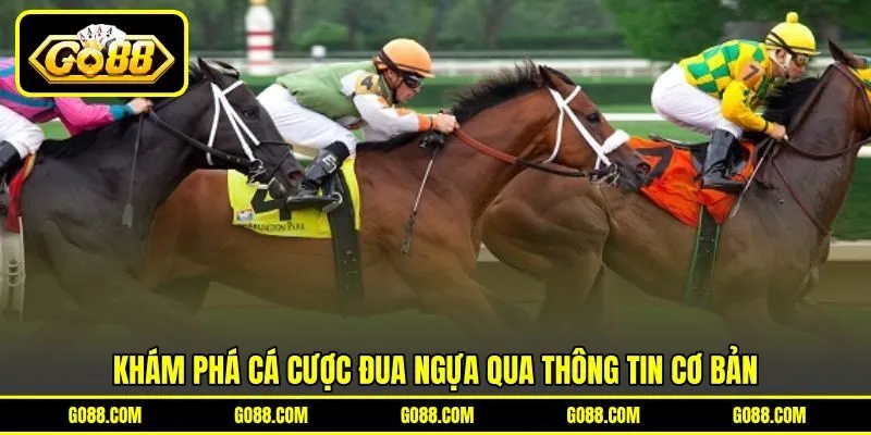 Khám phá cá cược đua ngựa qua thông tin cơ bản Khám phá cá cược đua ngựa qua thông tin cơ bản