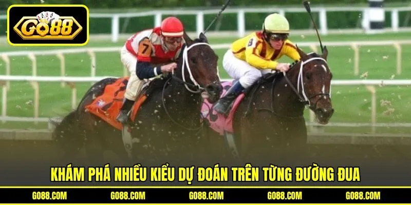 Khám phá nhiều kiểu dự đoán trên từng đường đua Khám phá nhiều kiểu dự đoán trên từng đường đua