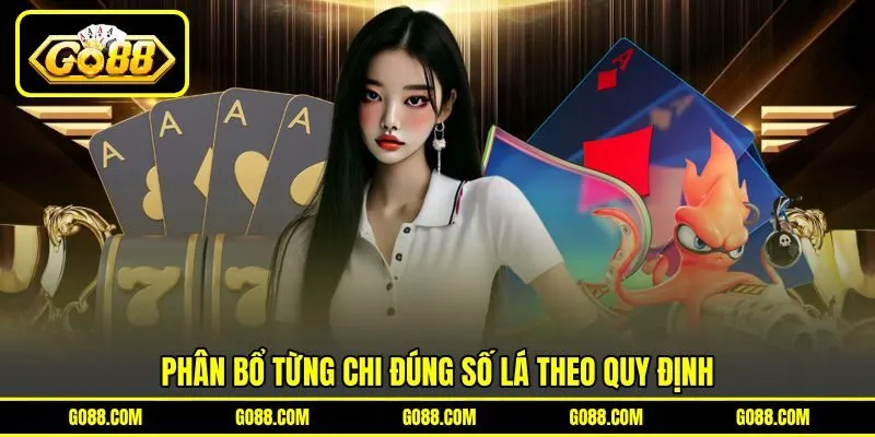 Phân bổ từng chi đúng số lá theo quy định