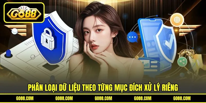 Phân loại dữ liệu theo từng mục đích xử lý riêng Phân loại dữ liệu theo từng mục đích xử lý riêng
