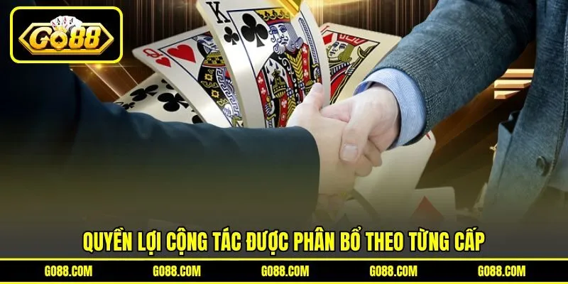 Quyền lợi cộng tác được phân bổ theo từng cấp Quyền lợi cộng tác được phân bổ theo từng cấp